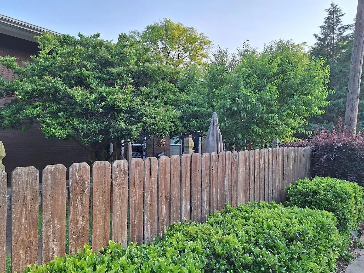 Suite 1, Sleep 4, Walk To Attractions In Uptown Charlotte Appartement